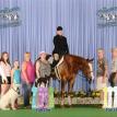 Respectified at the 2016 PtHA World Championship Show